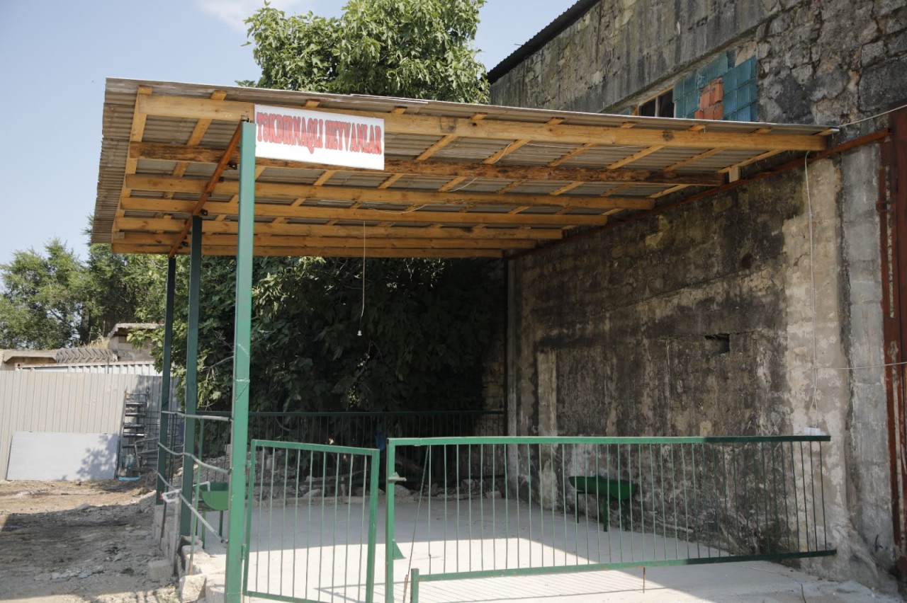 Binədə yeni heyvan bazarı fəaliyyətə başladı - FOTOLAR